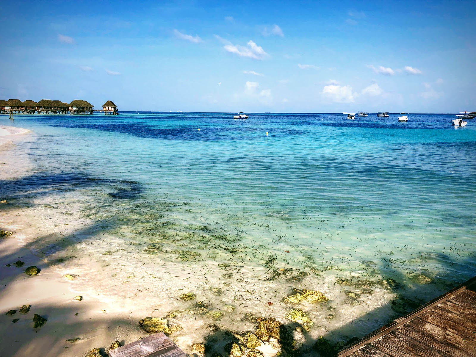 Club Med Kani island'in fotoğrafı - rahatlamayı sevenler arasında popüler bir yer