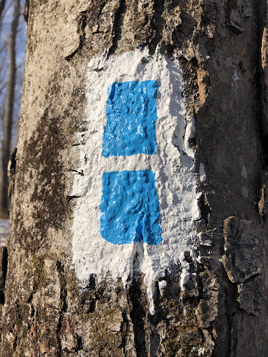 Tourist Attraction «Black Ledge Falls», reviews and photos, Hebron Ave, Glastonbury, CT 06033, USA