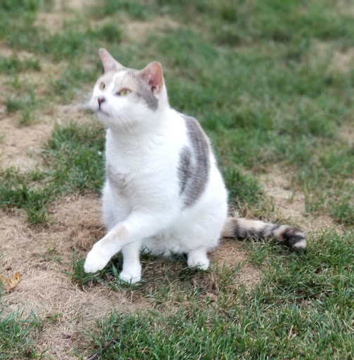 Bed & Breakfast «Richwood on the River / Bed & Breakfast & Events Venue», reviews and photos, 1233 KY-36, Milton, KY 40045, USA