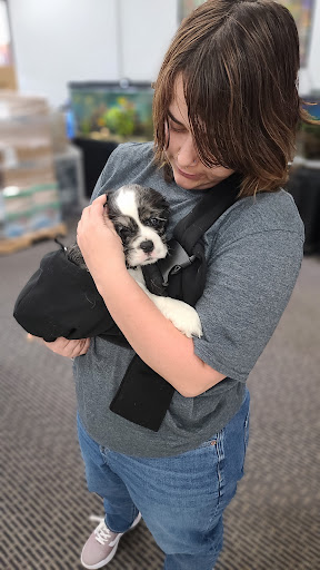 Shopping Mall «Hampton Plaza Shopping Center», reviews and photos, 4033 W Mercury Blvd, Hampton, VA 23666, USA