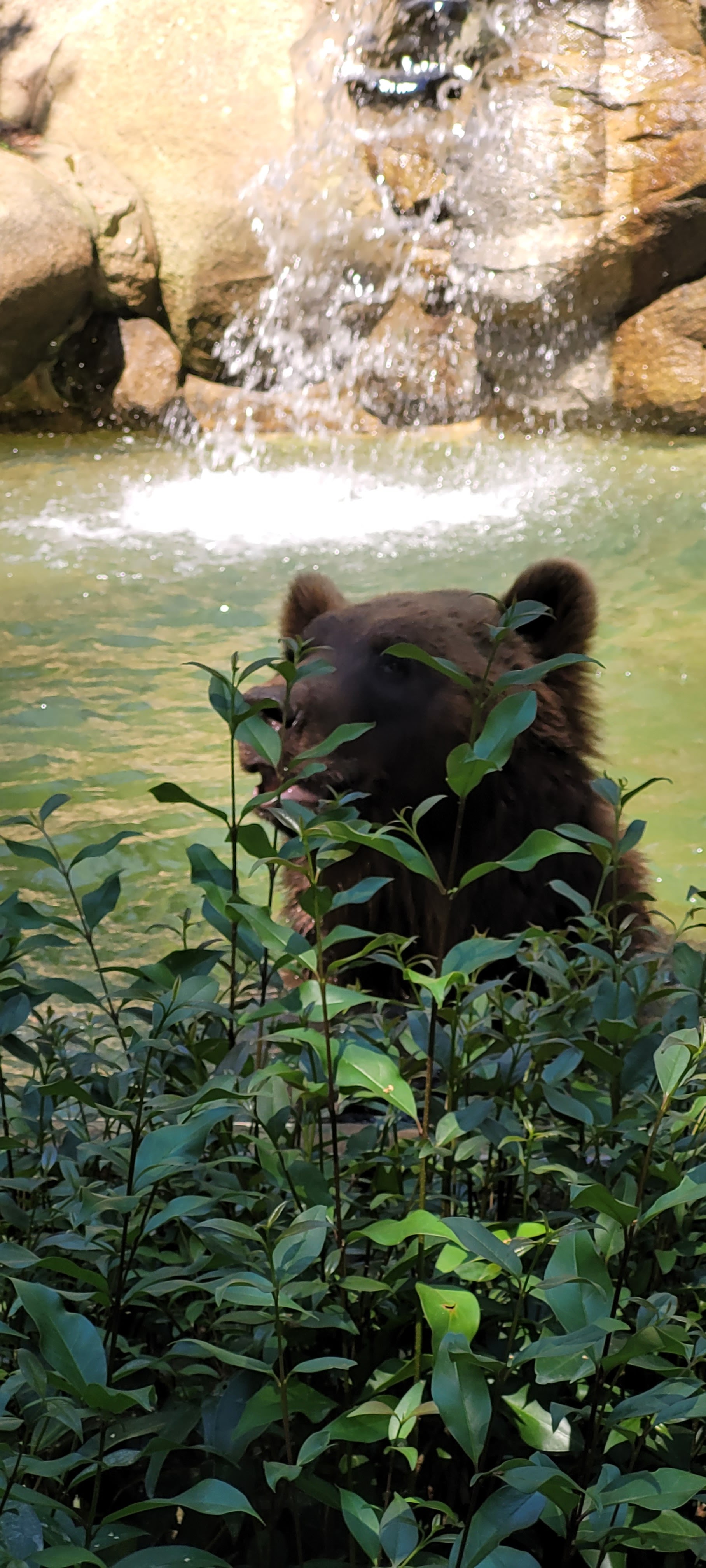 Photo n° 4 de l'avis de Francoise.i fait le 13/07/2022 à 21:54