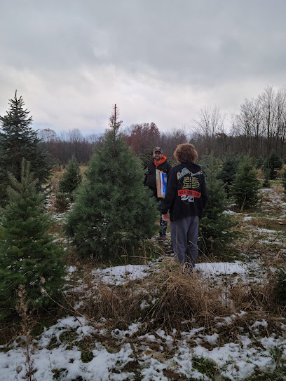 Kathie & Jerry's christmas trees