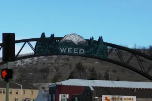 The Weed Smoke Shop California image