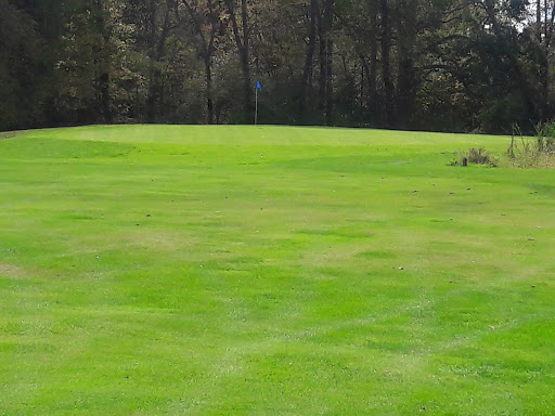 Public Golf Course «Reddeman Farms Golf & Banquets», reviews and photos, 555 S Dancer Rd, Chelsea, MI 48118, USA