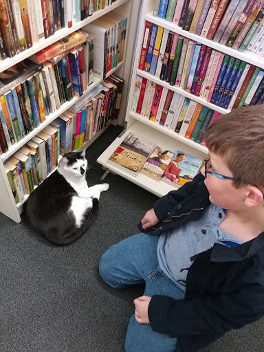 Book Store «Paperback Exchange», reviews and photos, 201 W Main St, Lancaster, OH 43130, USA