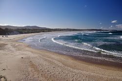 Foto af Shelley Beach beliggende i naturområde