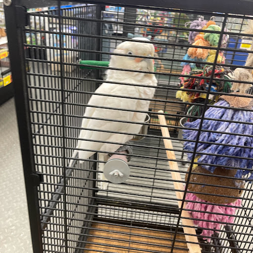 Pet Store «B & B Pet Stop, Inc.», reviews and photos, 5035 Cottage Hill Rd, Mobile, AL 36609, USA