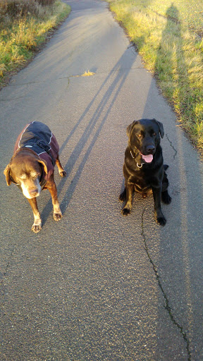 Tierarztpraxis Dr.med.vet. Edwin Brose unter Ludwigsfelde, Brandenburg