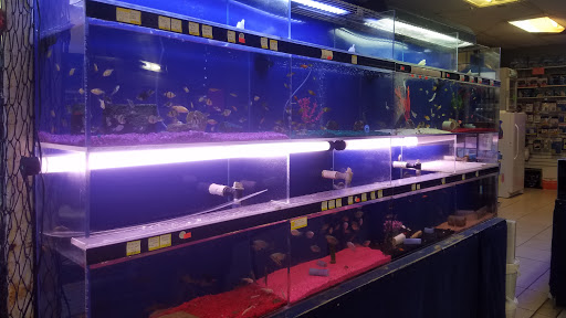 Tropical Fish Store «Coral Reef Aquariums», reviews and photos, 8416 N Armenia Ave, Tampa, FL 33604, USA