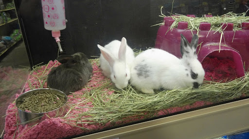 Pet Supply Store «PetSmart», reviews and photos, 3401 Erie Blvd E, Syracuse, NY 13214, USA