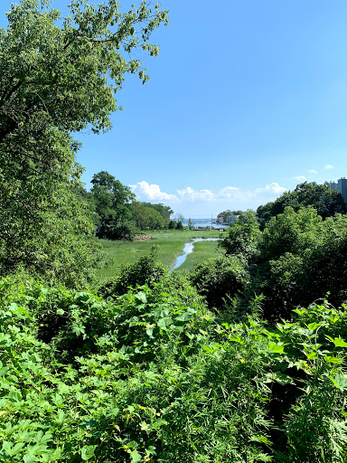 Art Museum «Bruce Museum», reviews and photos, 1 Museum Dr, Greenwich, CT 06830, USA