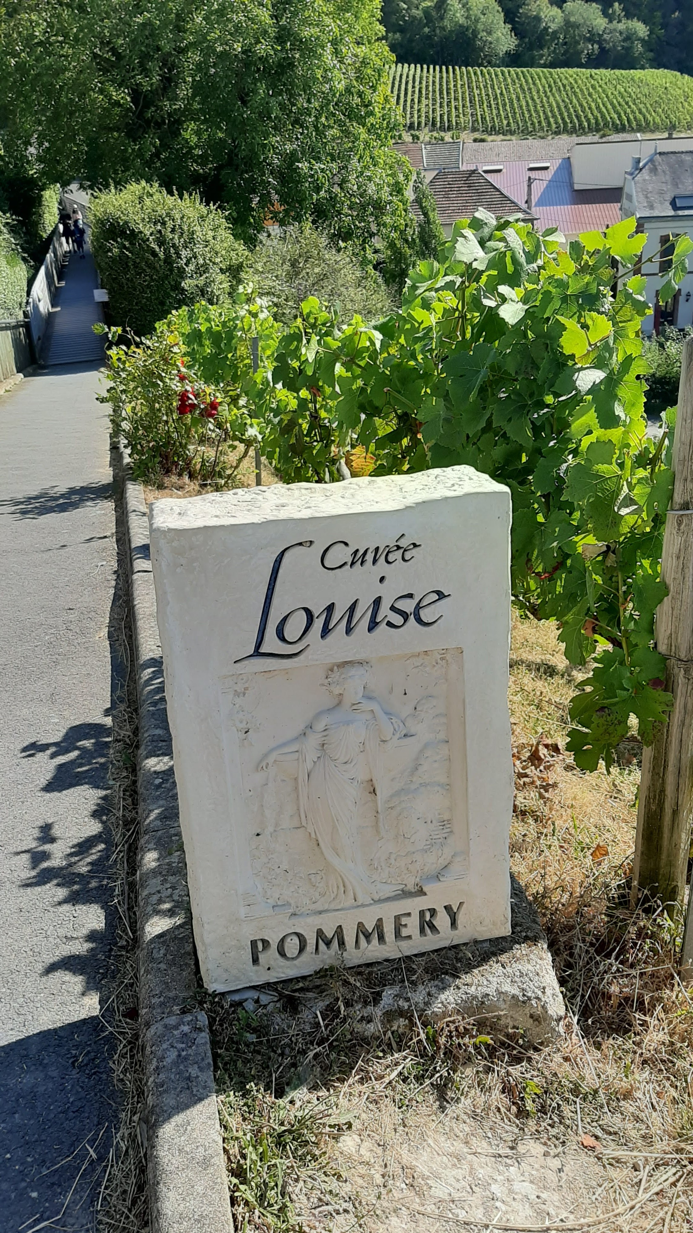 Photo n° 3 de l'avis de Marie.e fait le 06/08/2020 à 19:56