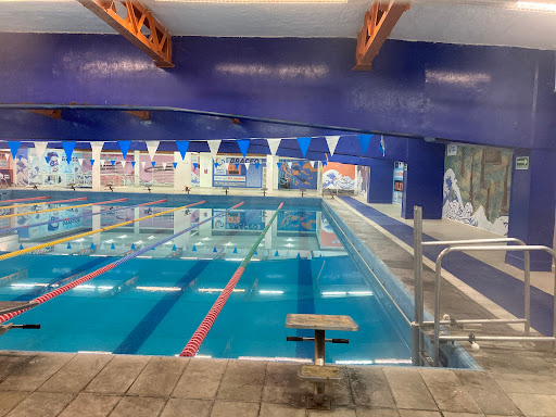 Cheap swimming pools Mexico City
