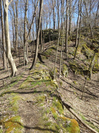 Nature Preserve «Fern Cliff Nature Preserve», reviews and photos, W County Rd 375 S, Greencastle, IN 46135, USA