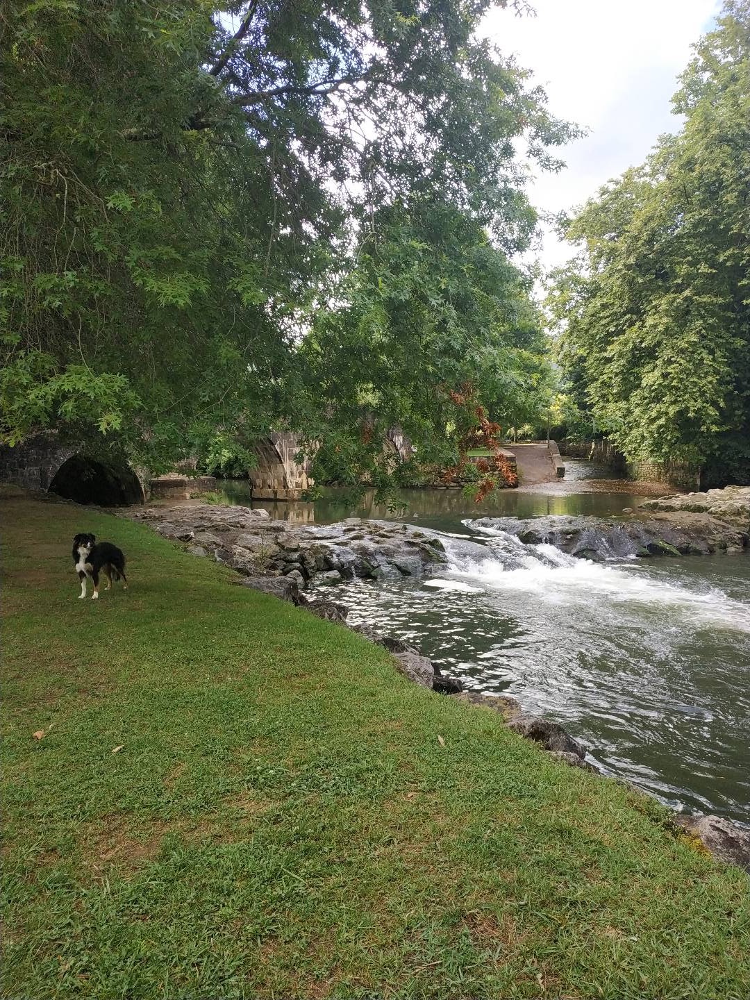 Photo n° 1 de l'avis de Maïté.e fait le 30/04/2021 à 16:53