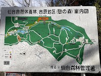 からまつの道