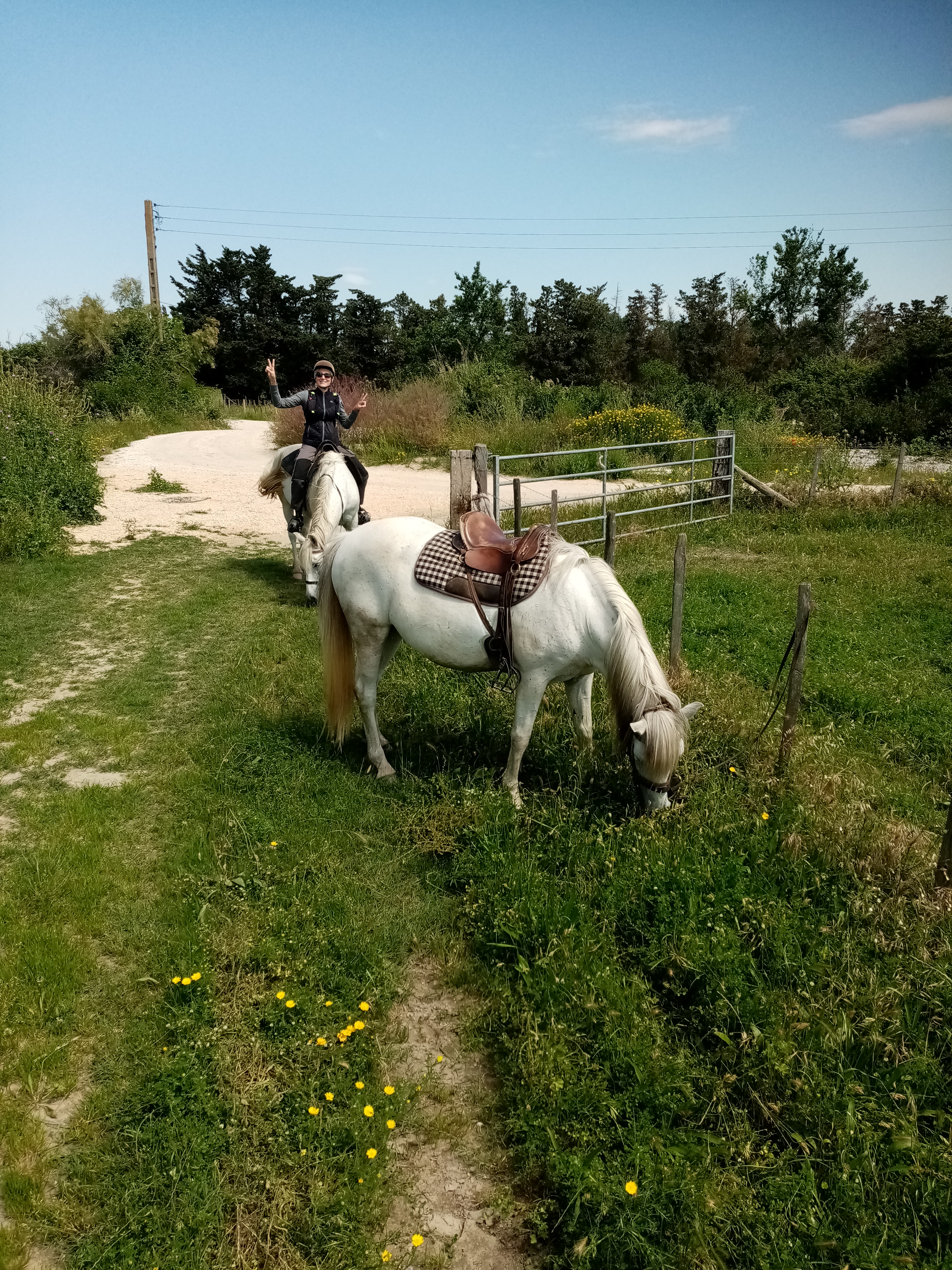 Photo n° 4 de l'avis de jean-victor.i fait le 17/05/2020 à 15:59