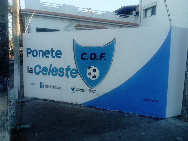 Opiniones de Club Oriental De La Paz en Montevideo - Campo de fútbol
