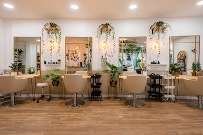 Le Petit Salon Quiberon à Quiberon