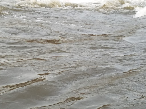 Tourist Attraction «Dinosaur Footprints», reviews and photos, US-5, Holyoke, MA 01040, USA