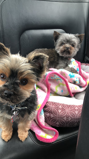 Pet Store «Bowwow Meow», reviews and photos, 456 SW Bay Blvd, Newport, OR 97365, USA