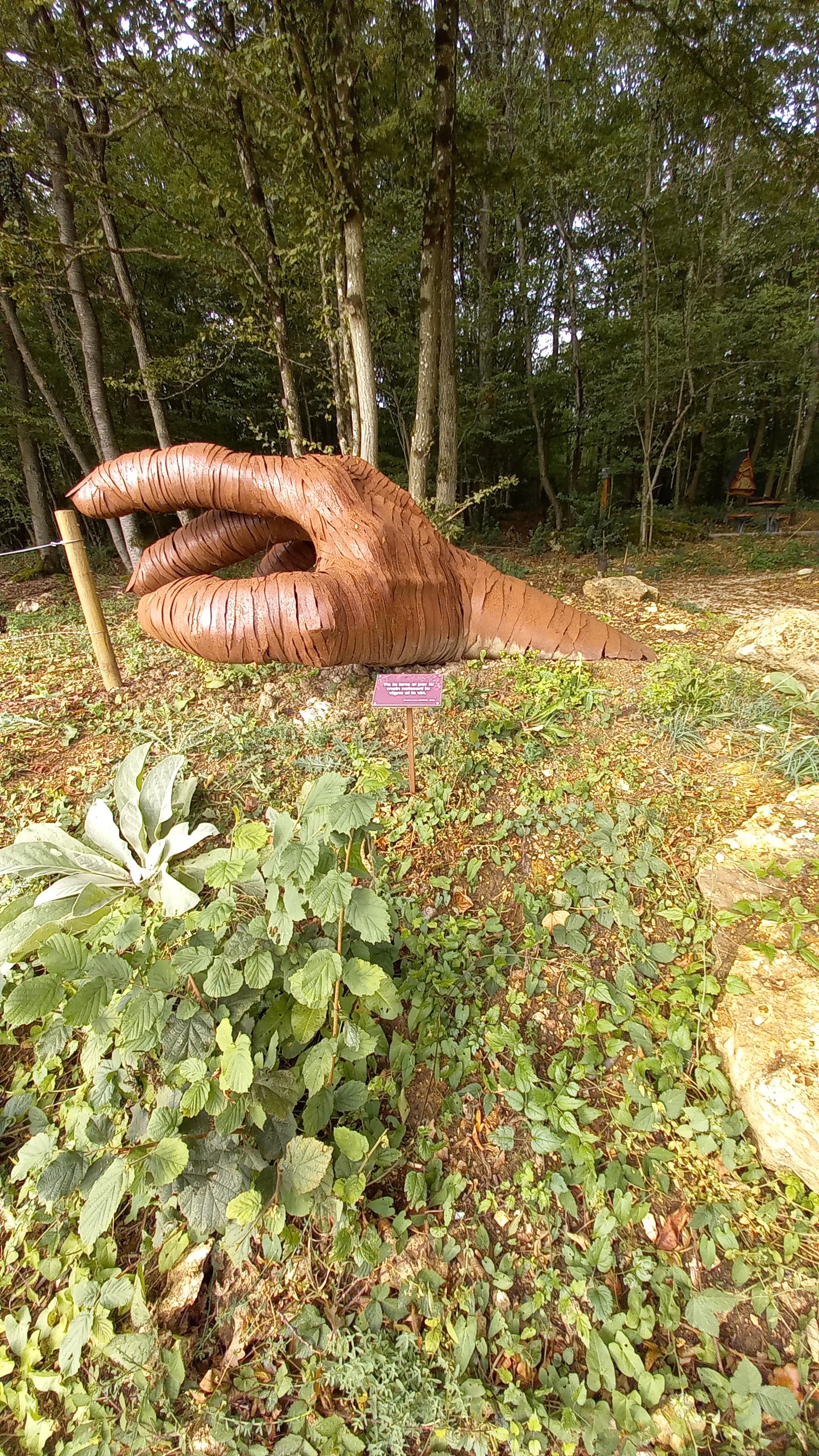 Photo n° 3 de l'avis de decorte.y fait le 21/09/2023 à 08:17