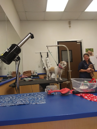 Pet Supply Store «Petsense Columbia», reviews and photos, 7402 Garners Ferry Rd, Columbia, SC 29209, USA