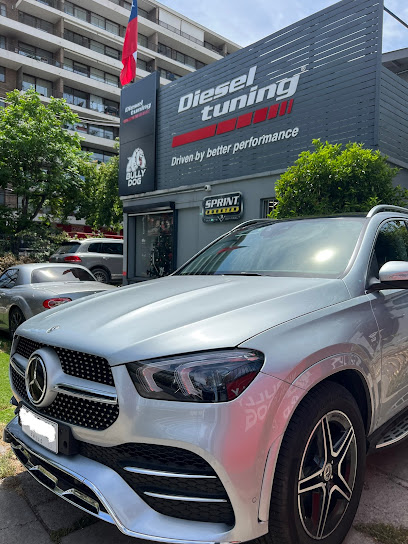 Dieseltuning Chile