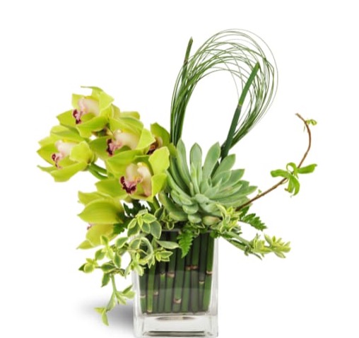 Florist «J E Flower Shop», reviews and photos, 141 Broad St, New Britain, CT 06053, USA