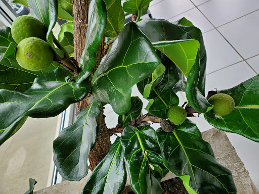 Chevrolet Dealer «Alan Webb Chevrolet», reviews and photos, 3712 NE 66th Ave, Vancouver, WA 98661, USA