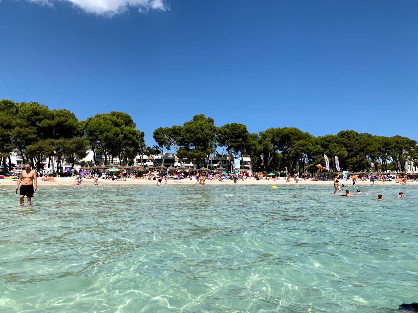 Photo de Plage d'Alcudia avec l'eau cristalline de surface