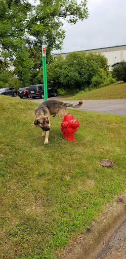 Used Car Dealer «Original Owner Autos», reviews and photos, 9811 Hamilton Rd, Eden Prairie, MN 55344, USA