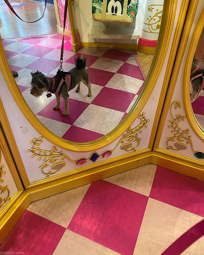 Toy Store «Disney Store», reviews and photos, 51 Main St, Salt Lake City, UT 84101, USA