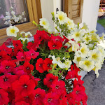 Photo n°2 de l'avis de marco.a fait le 20/08/2023 à 12:49 sur le  Alpen Hotel La Montanara à Rocca Pietore