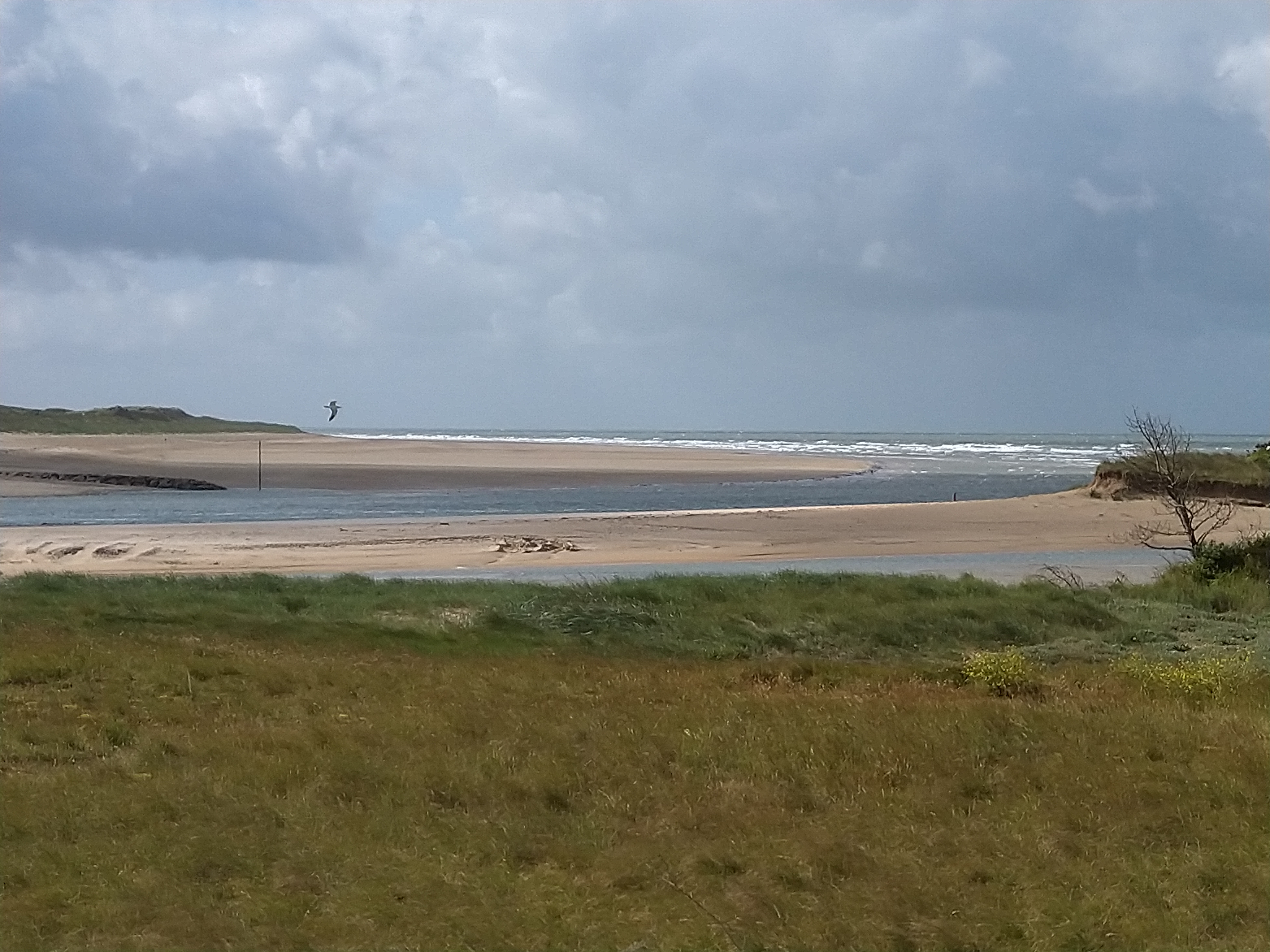 Photo n° 1 de l'avis de pierre.e fait le 06/07/2019 à 09:46