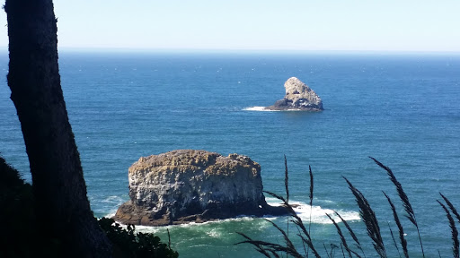 Horse Boarding Stable «Green Acres Beach & Trail Rides», reviews and photos, 5985 Pacific Ave, Cloverdale, OR 97112, USA