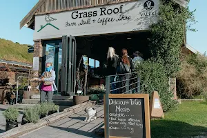 Grass Roof image