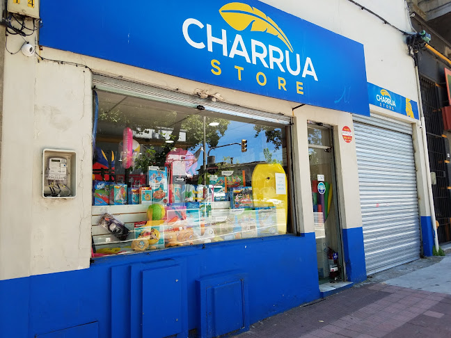 CHARRUA STORE