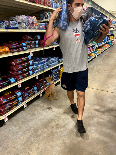 Pet Supply Store «PetSmart», reviews and photos, 4550 W Lake Mary Blvd, Lake Mary, FL 32746, USA