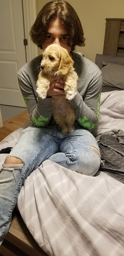 Pet Store «Pet Express», reviews and photos, 250 Granite St, Braintree, MA 02184, USA