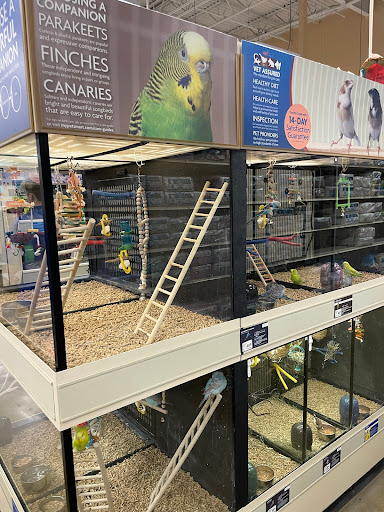 Pet Supply Store «PetSmart», reviews and photos, 1140 W Elliot Rd, Tempe, AZ 85284, USA