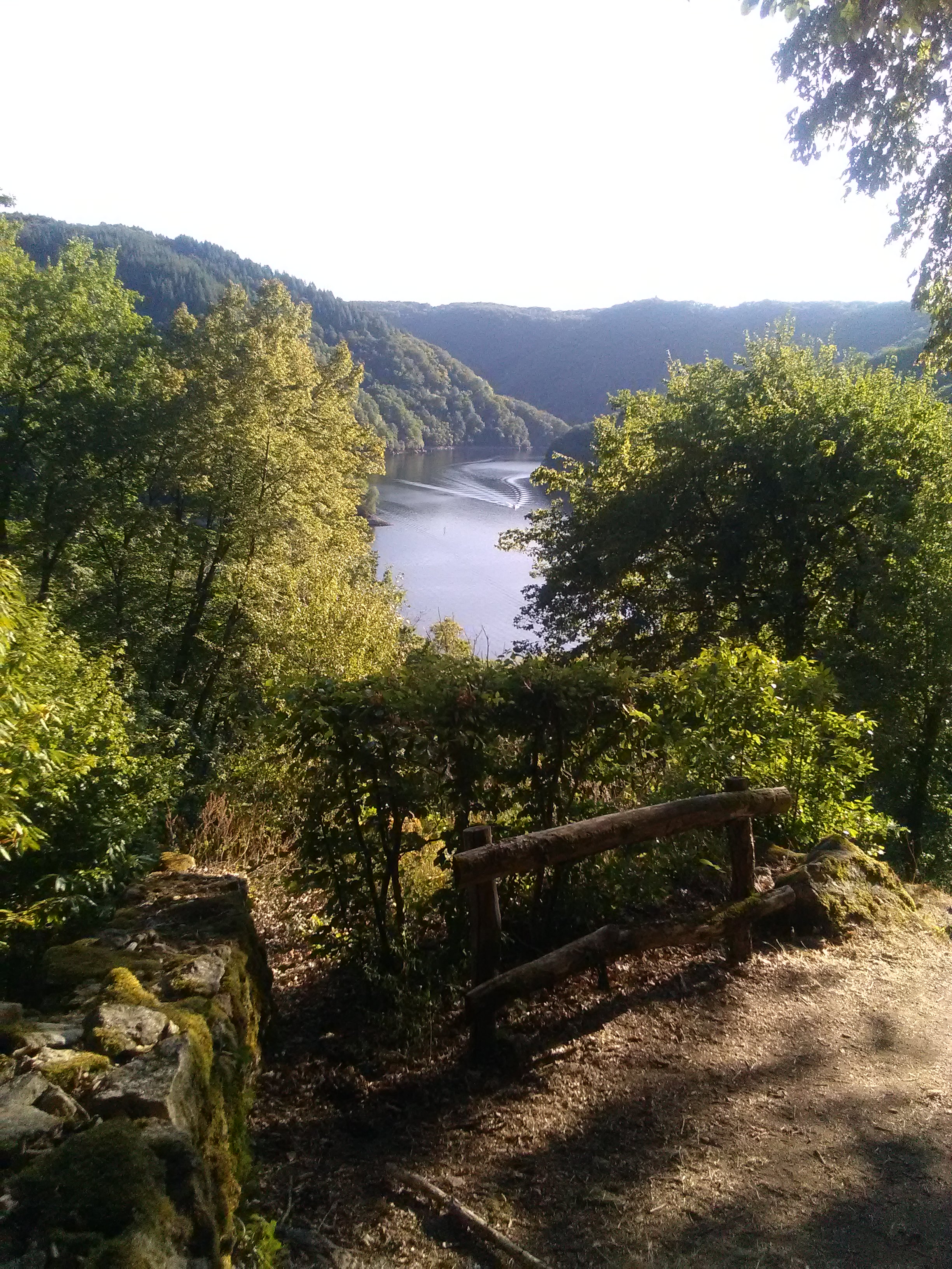 Photo n° 8 de l'avis de GoutteGoutte.. fait le 10/09/2019 à 20:16