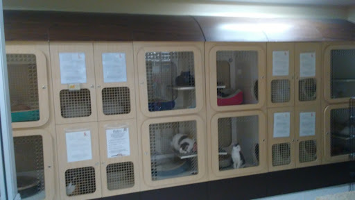 Pet Supply Store «Petco Animal Supplies», reviews and photos, 6761 Westminster Ave, Westminster, CA 92683, USA