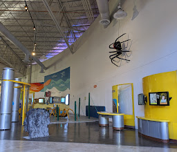 La Rodadora Espacio Interactivo photo