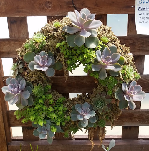 Garden Center «Town & Country Nurseries», reviews and photos, 1036 Saybrook Rd, Haddam, CT 06438, USA