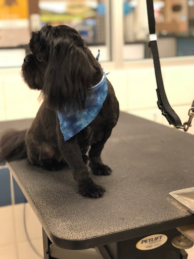 Pet Supply Store «Petco Animal Supplies», reviews and photos, 5260 W Baseline Rd, Laveen Village, AZ 85339, USA