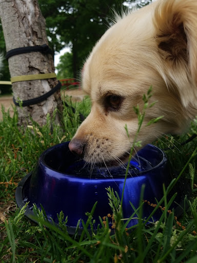 Park «Streamwood Community Center», reviews and photos, 777 Bartlett Rd, Streamwood, IL 60107, USA