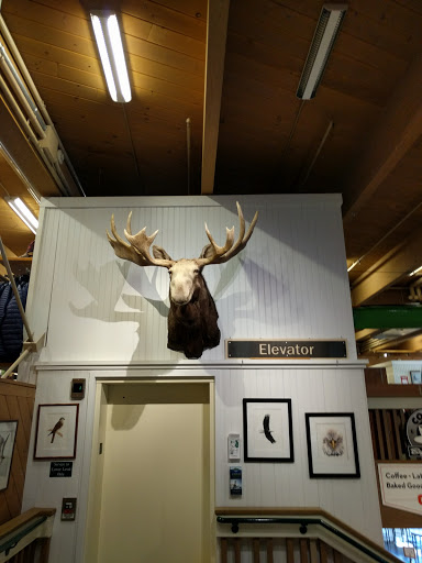 Clothing Store «L.L. Bean Outlet», reviews and photos, 1 Freeport Village Station, Freeport, ME 04033, USA