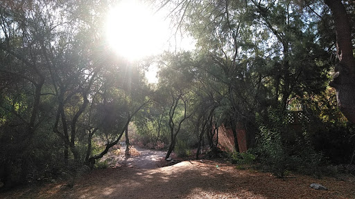 Golf Club «Lookout Mountain Golf Club», reviews and photos, 11111 N 7th St, Phoenix, AZ 85020, USA