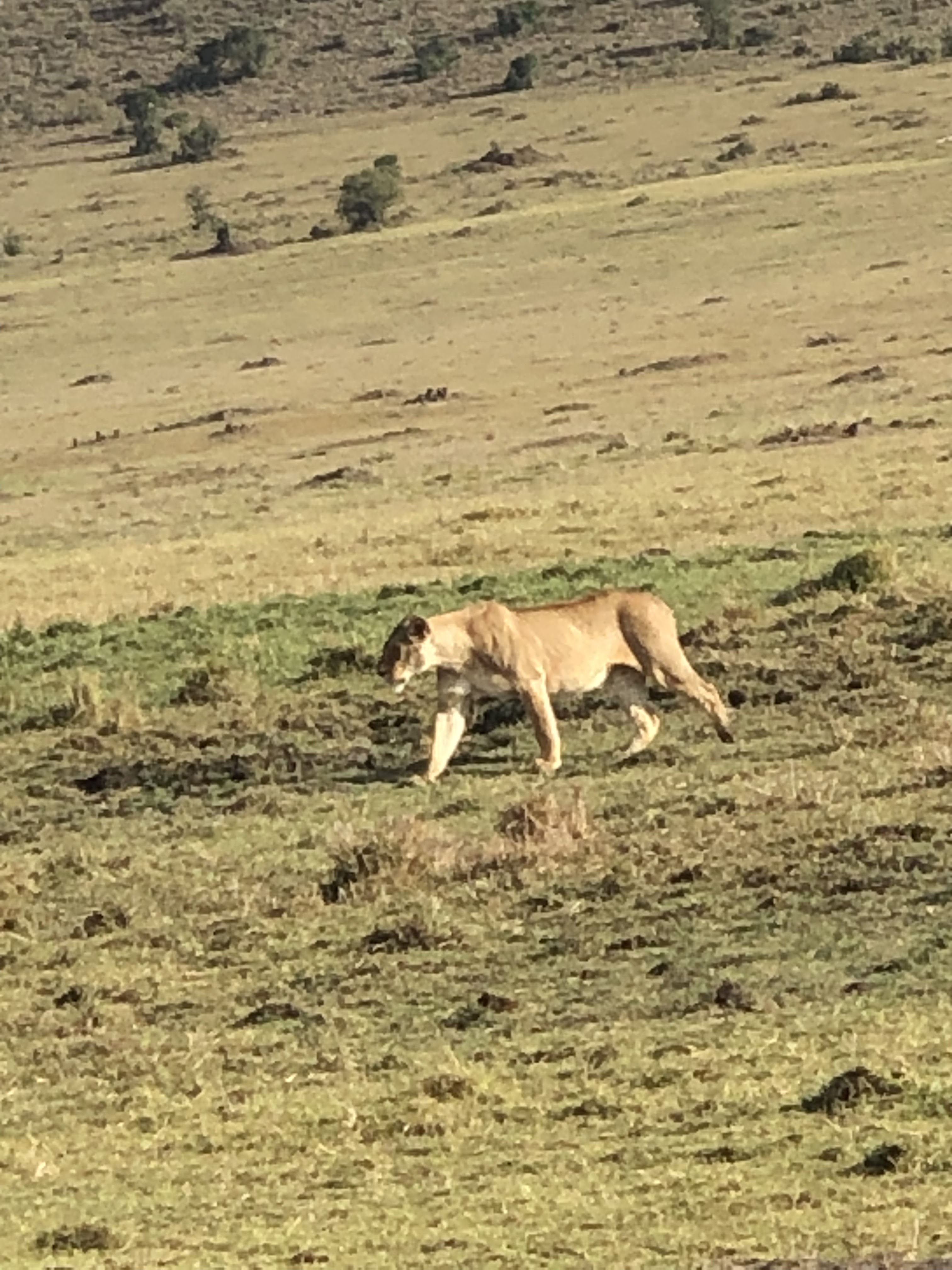 Photo n° 7 de l'avis de Francoise.e fait le 22/03/2023 à 15:47